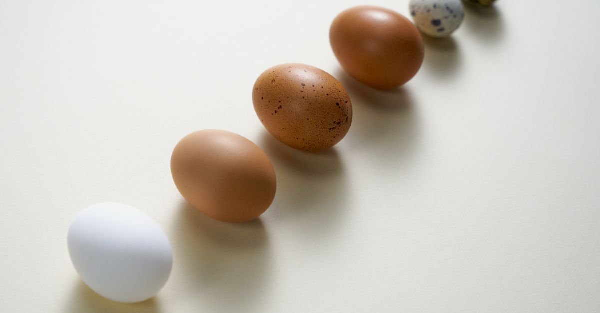 계란 풀기(거품/체거름)가 푸석함을 더 도드라지게 만들기도 해요