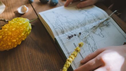 책을 읽는 손과 아몬드 한 줌, 감정 표현을 돕는 여백 같은 장면